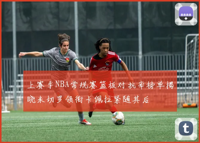 上赛季NBA常规赛篮板对抗率榜单揭晓米切罗领衔卡佩拉紧随其后